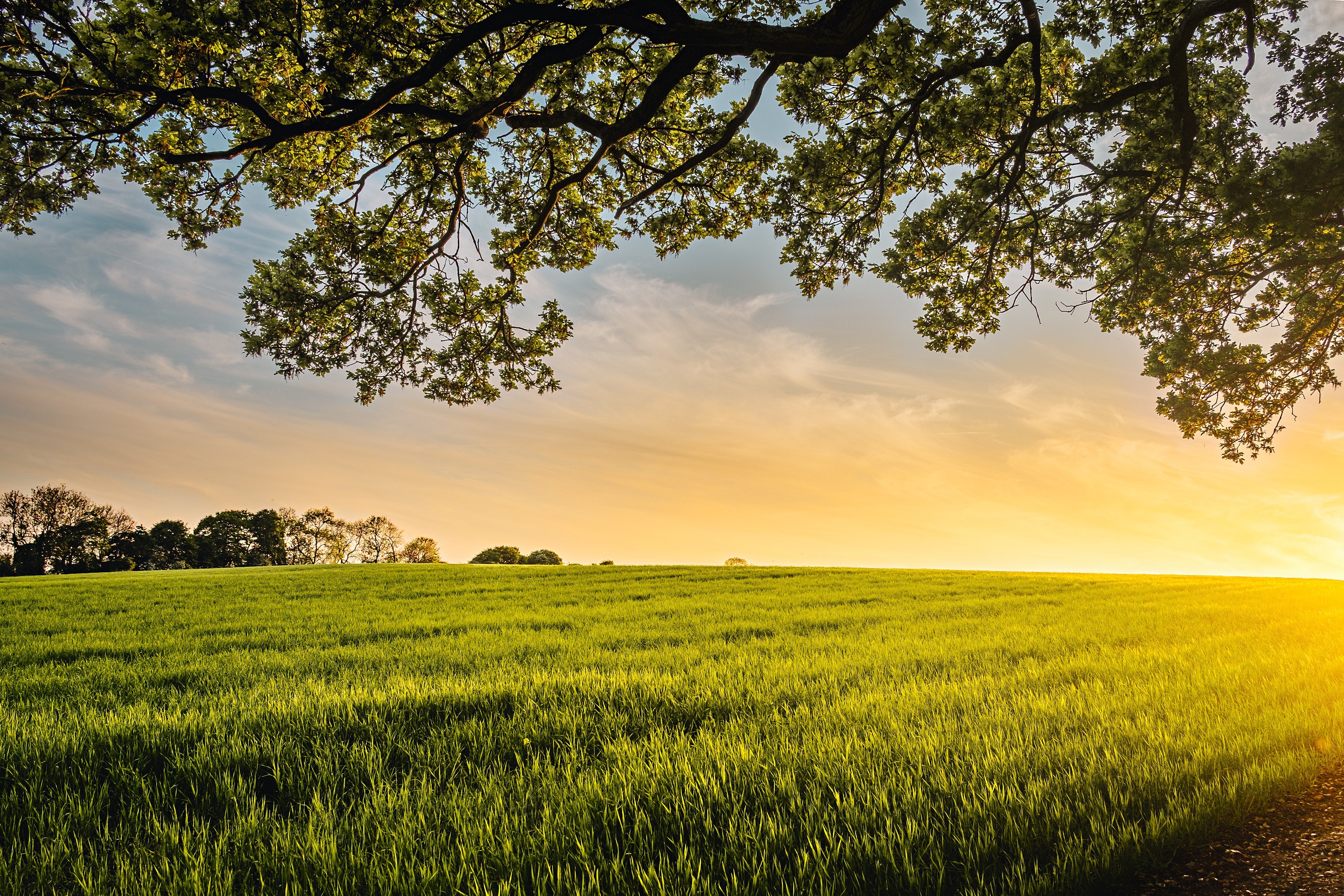 Sustainable by Nature: Our Commitment to a Healthier Planet