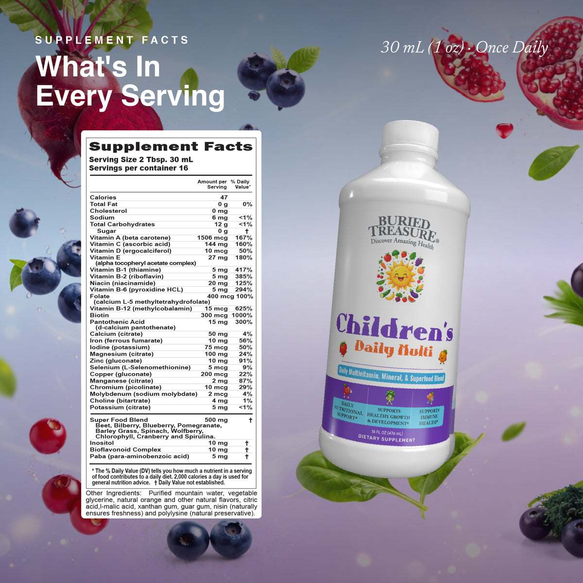 Children's Daily Liquid Multivitamin, Vitamins & Minerals, Natural Fruit Flavors, 16 servings