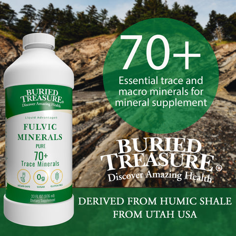 Fulvic Minerals Complex Humic Shale derived Essential Minerals, Natural Energy & Immunity Support, 32 servings
