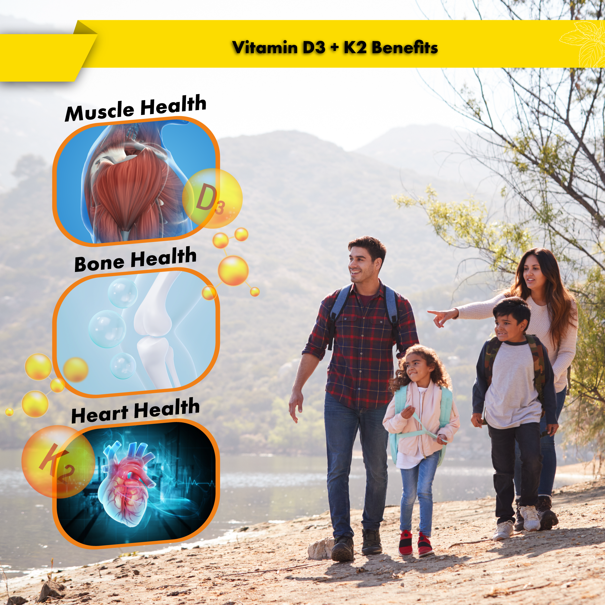 Buried Treasure D3 + K2 Liquid Drops (2 fl oz)