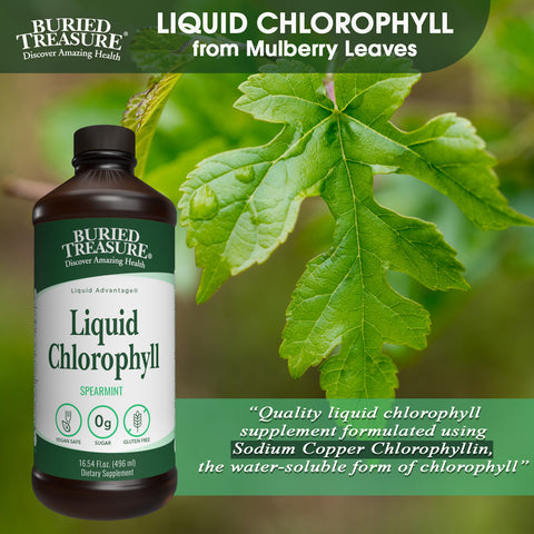 Liquid Chlorophyll 100 mg Chlorophyll Energy Support & Detox - 16 servings