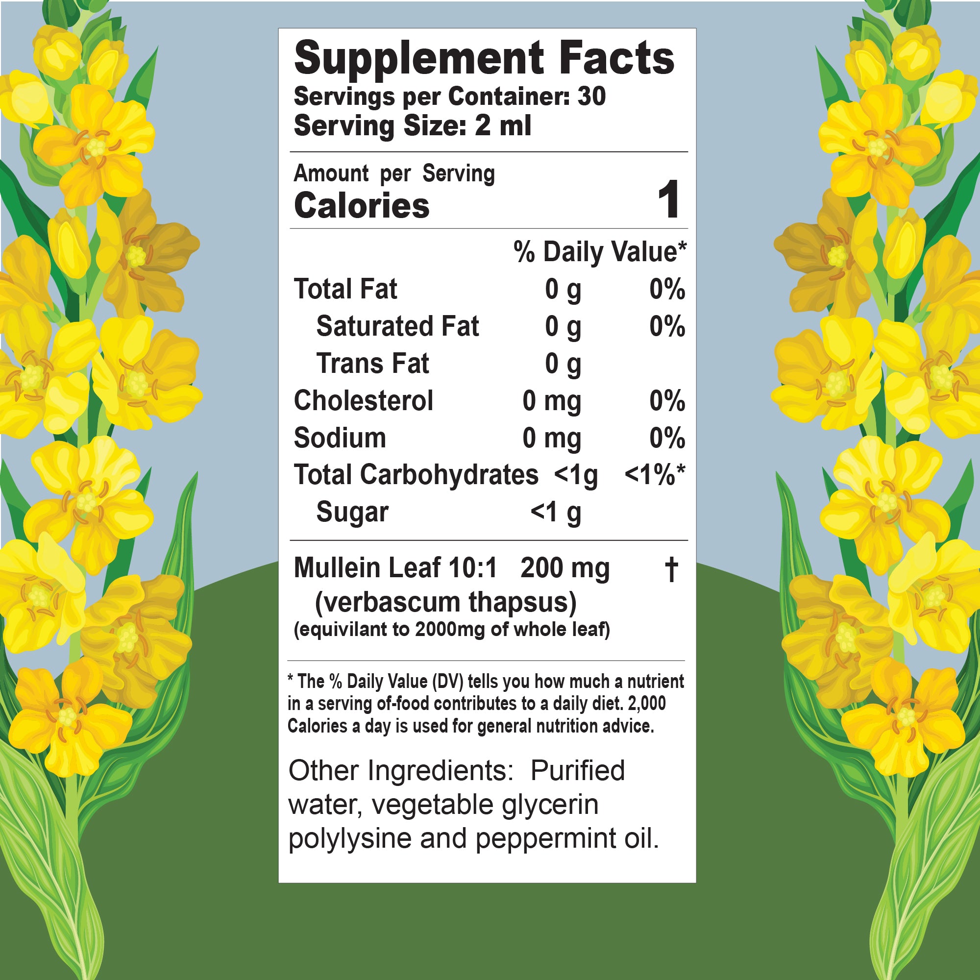 2oz Mullein Mint Drops – Mint-Flavored Herbal Blend with 200mg 10:1 Extract, Alcohol-Free