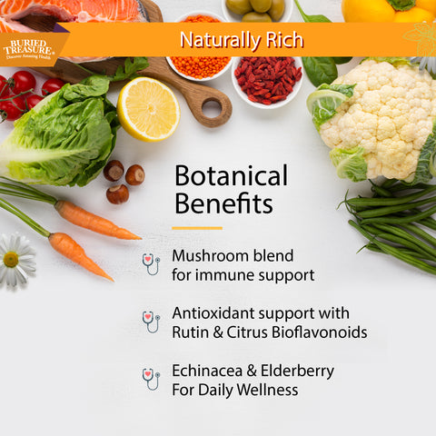 Image of the botanical benefits with bullet points for mushroom blend for immune support, antioxidant support and with Echinacea and Elderberry