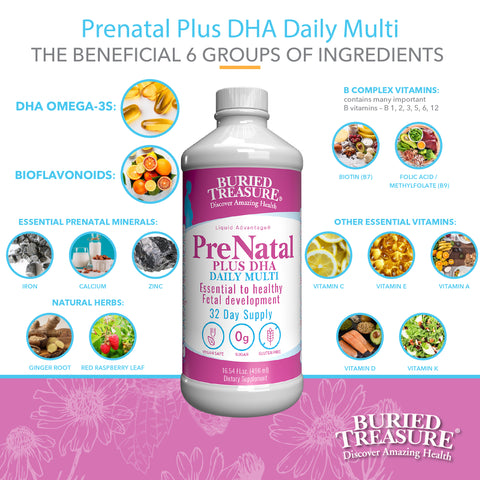 Prenatal Plus DHA Daily Multi Vegetarian Safe Liquid Supplement