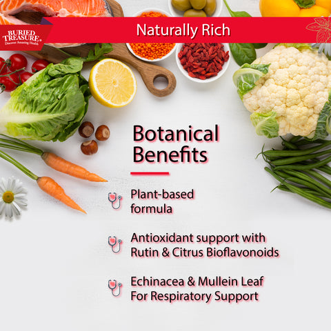 Image with bullet points of the botanical benefits, plant based formula, antioxidant support, with Echinacea and Mullein leaf for respiratory support
