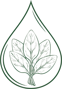 A drop of water with Spinach leaves growing in it. symbolizing the Natural Nature of Liquid Herbal Iron