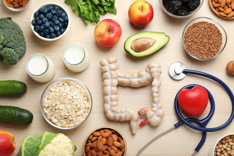 Digestive Benefits of Baobab, Chamomile, and Fennel: A Natural Boost for Your Gut Health