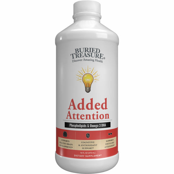 Added Attention – Liquid Supplement for Kids with DHA, B Vitamins & Phospholipids | Brain-Friendly Nutrients in a Natural Raspberry Flavor | 16 oz