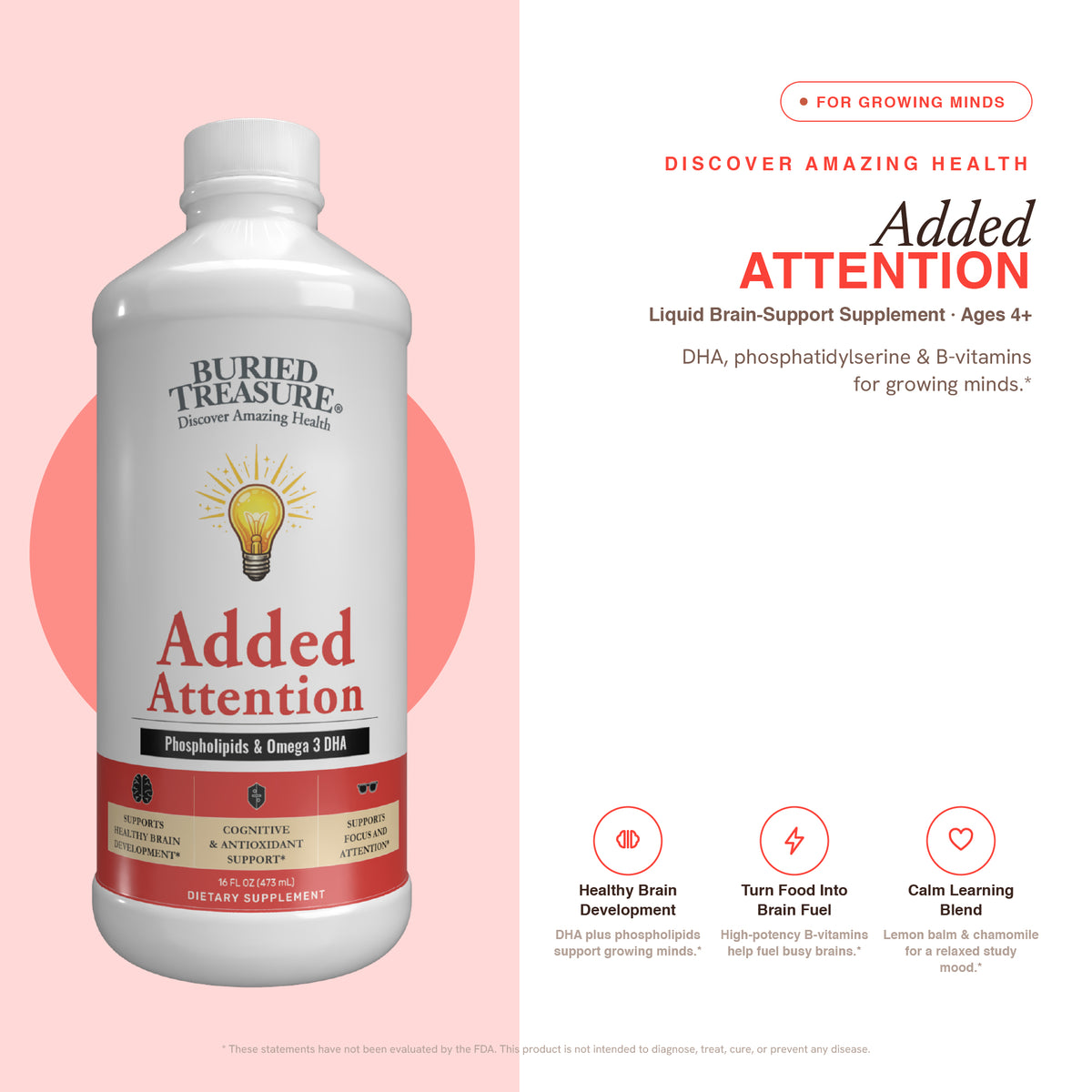 Added Attention – Liquid Supplement for Kids with DHA, B Vitamins & Phospholipids | Brain-Friendly Nutrients in a Natural Raspberry Flavor | 16 oz
