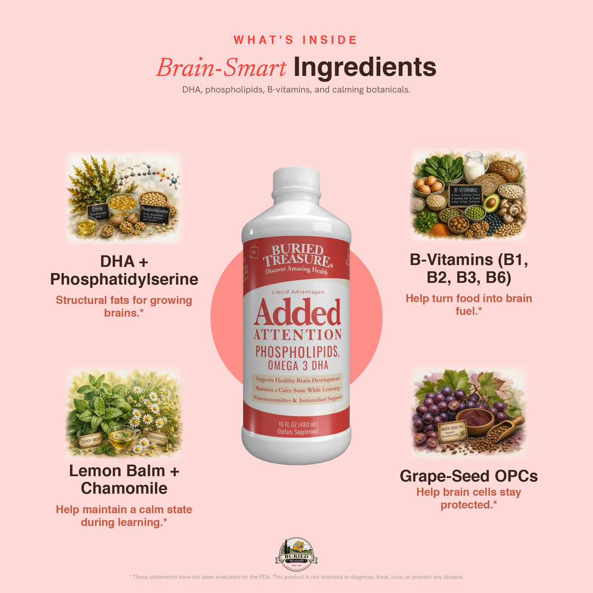 Added Attention – Liquid Supplement for Kids with DHA, B Vitamins & Phospholipids | Brain-Friendly Nutrients in a Natural Raspberry Flavor | 16 oz