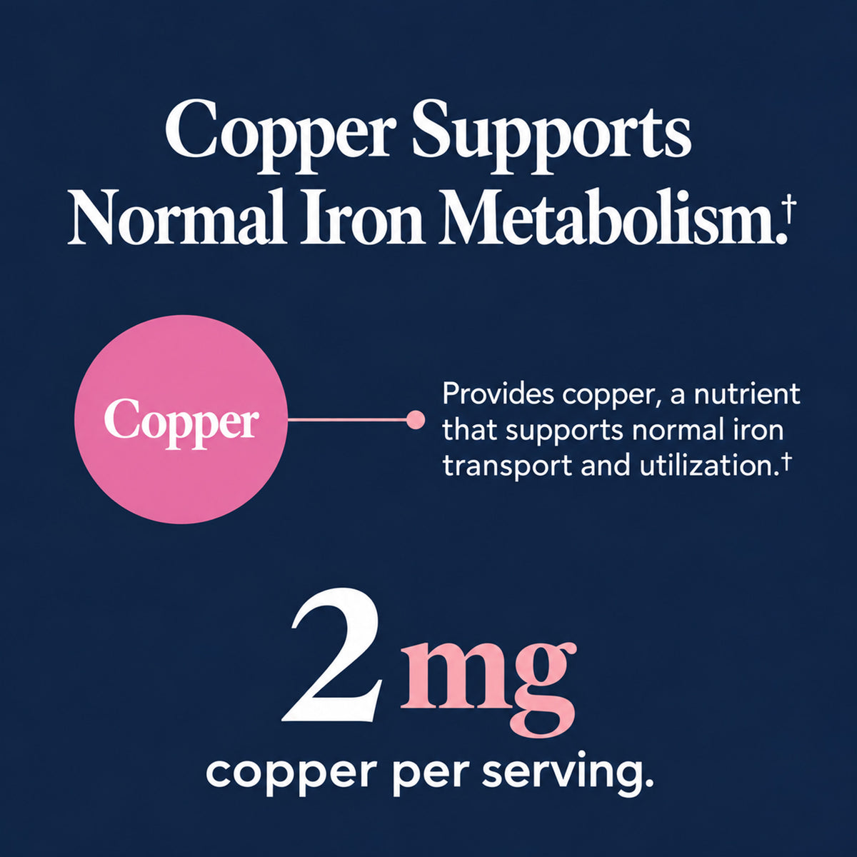 Buried Treasure Prenatal Iron Drops – 20 mg Iron Bisglycinate + Copper, 2 fl oz