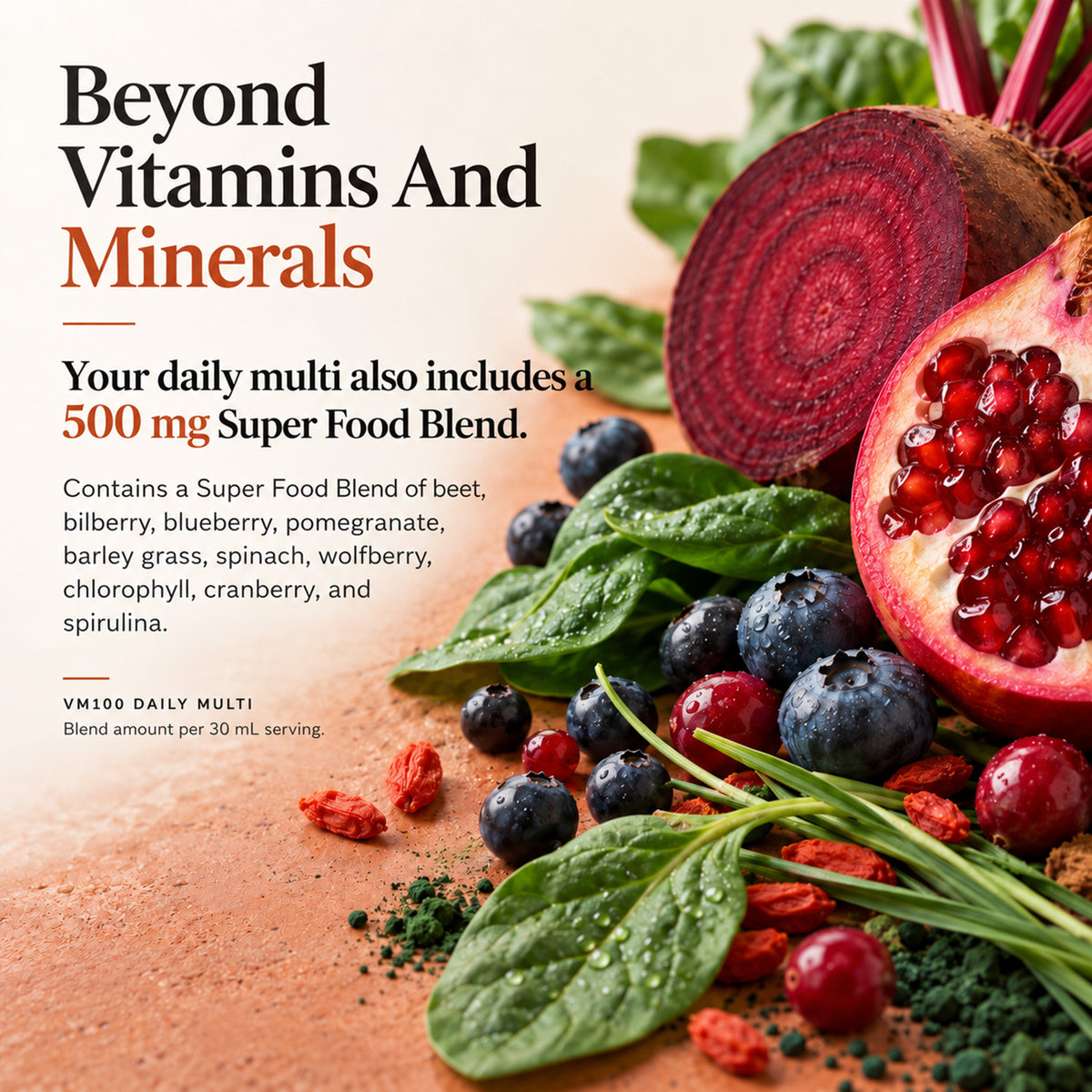 VM100 Liquid Multivitamin and Multimineral Daily Supplement - 100+ Nutrients with Vitamins, Minerals, Antioxidants, and Superfoods - 32 oz