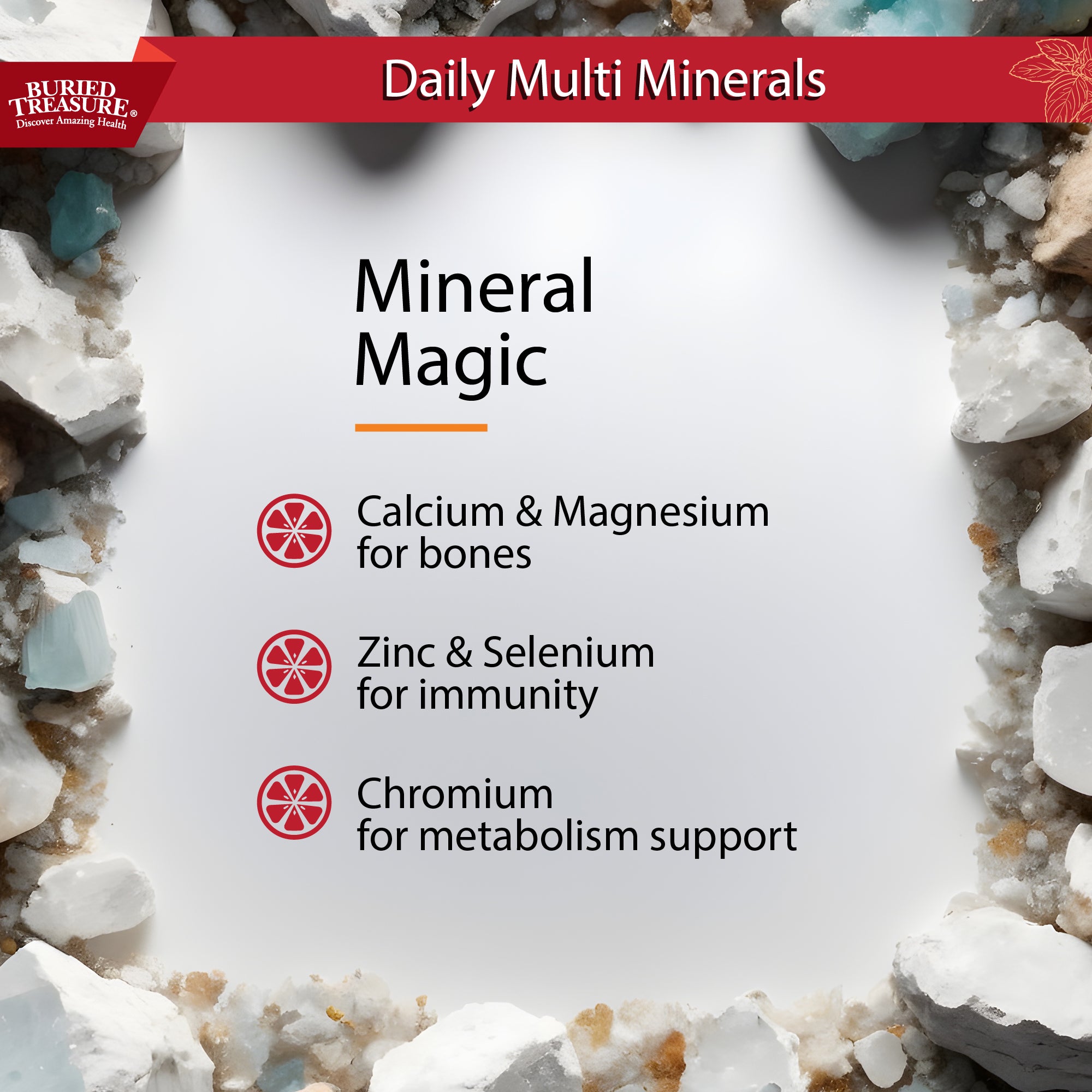 Active 55 Plus – Multivitamin and Mineral Supplement, 33 oz amz