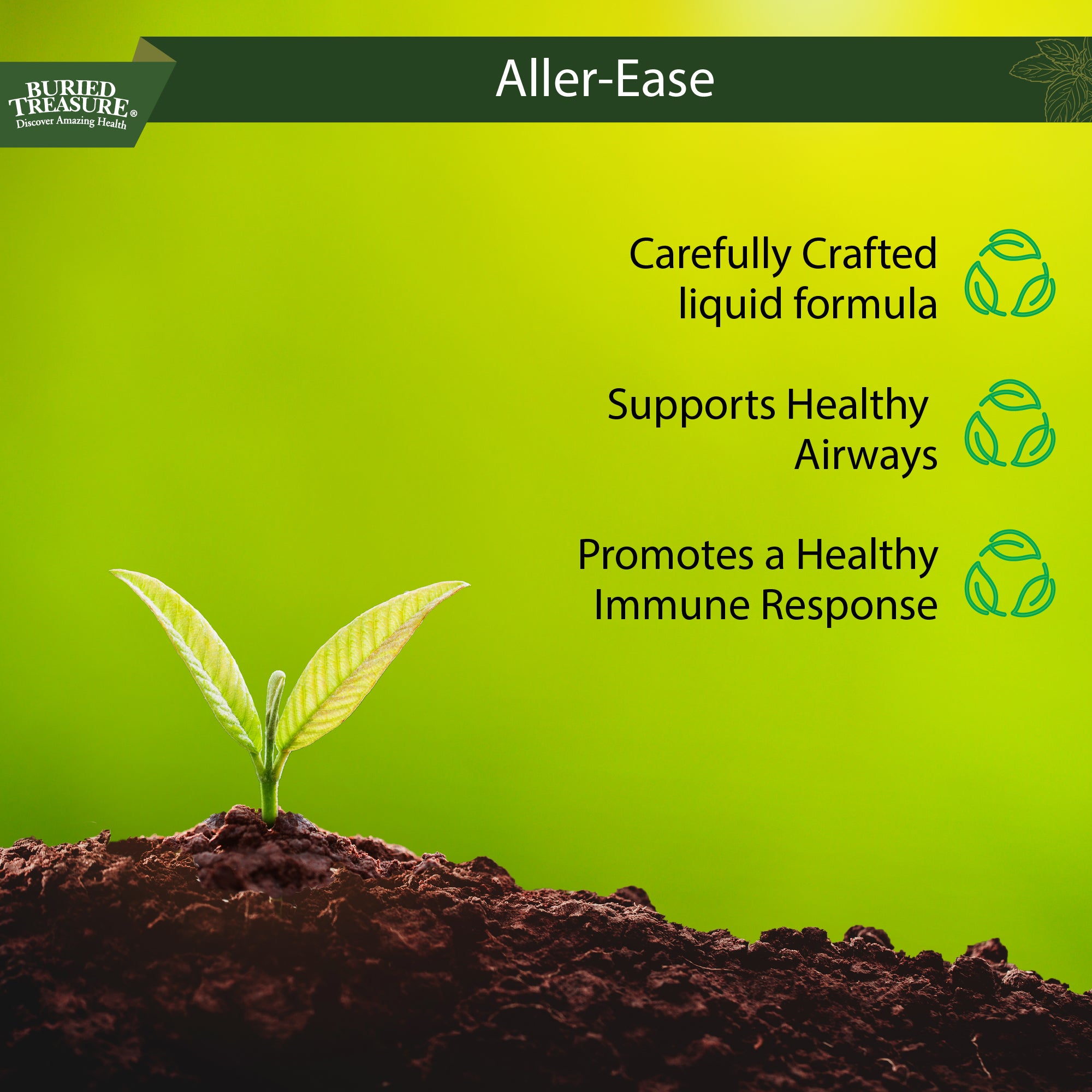 Aller Ease – Liquid Supplement with Quercetin, Bromelain, Vitamin C, and Zinc