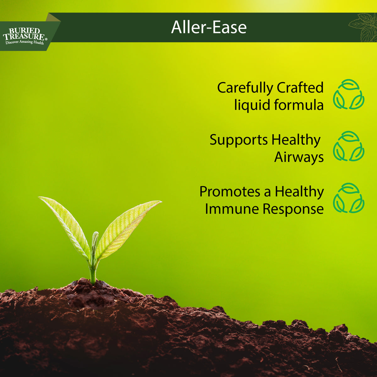 Aller Ease – Liquid Supplement with Quercetin, Bromelain, Vitamin C, and Zinc