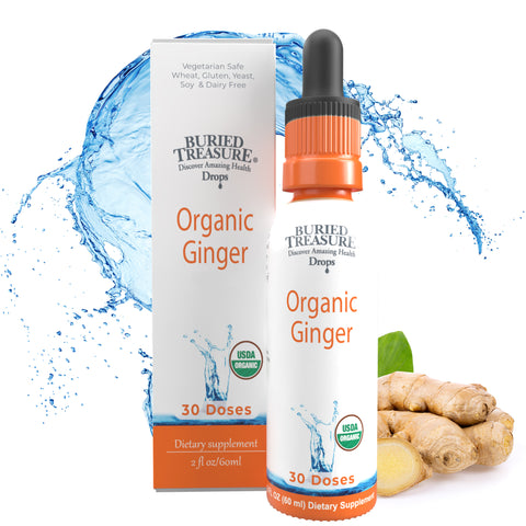 Organic Ginger Drops - Alcohol-Free Liquid Ginger Root Extract for Natural Digestive Support, 300mg per Serving