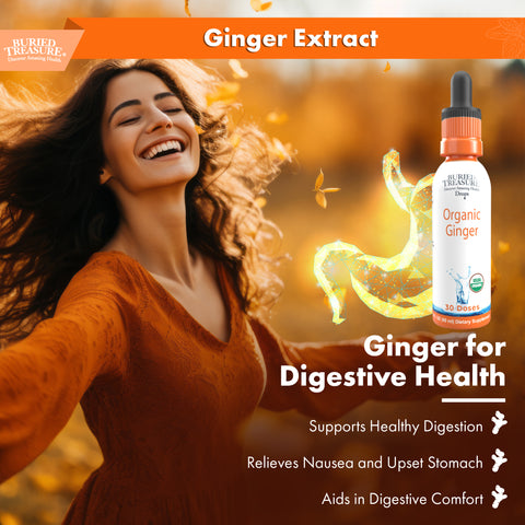 Organic Ginger Drops - Alcohol-Free Liquid Ginger Root Extract for Natural Digestive Support, 300mg per Serving