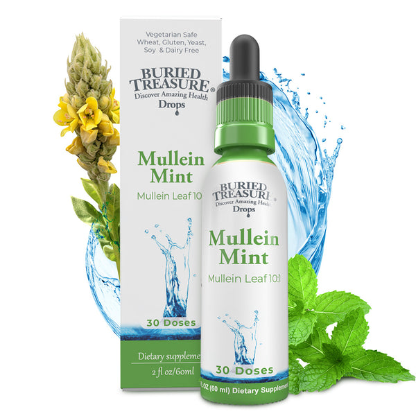 Buried Treasure Liquid Nutrients Mullein Drops with 200mg 10:1 Extract, Alcohol-Free Liquid Dietary Supplement