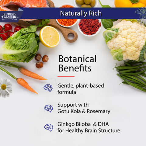 Buried Treasure Neuro Nectar Botanical Benefits Image