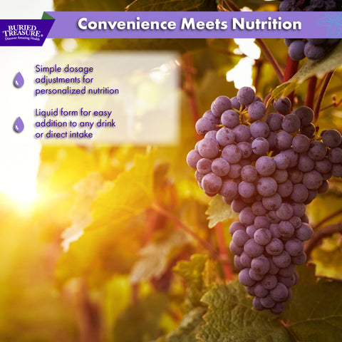 Fulvic Minerals Complex Humic Shale Derived Minerals, Natural Energy & Immunity Support, 32 servings - Grape Flavored