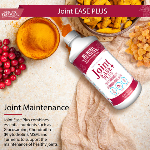 Joint Ease Plus | Glucosamine Chondroitin with MSM and Turmeric | Joint Support Supplement | 16 fl oz