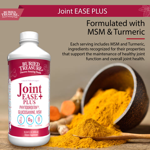 Joint Ease Plus – with Glucosamine, Chondroitin, MSM, and Turmeric, 16 fl oz