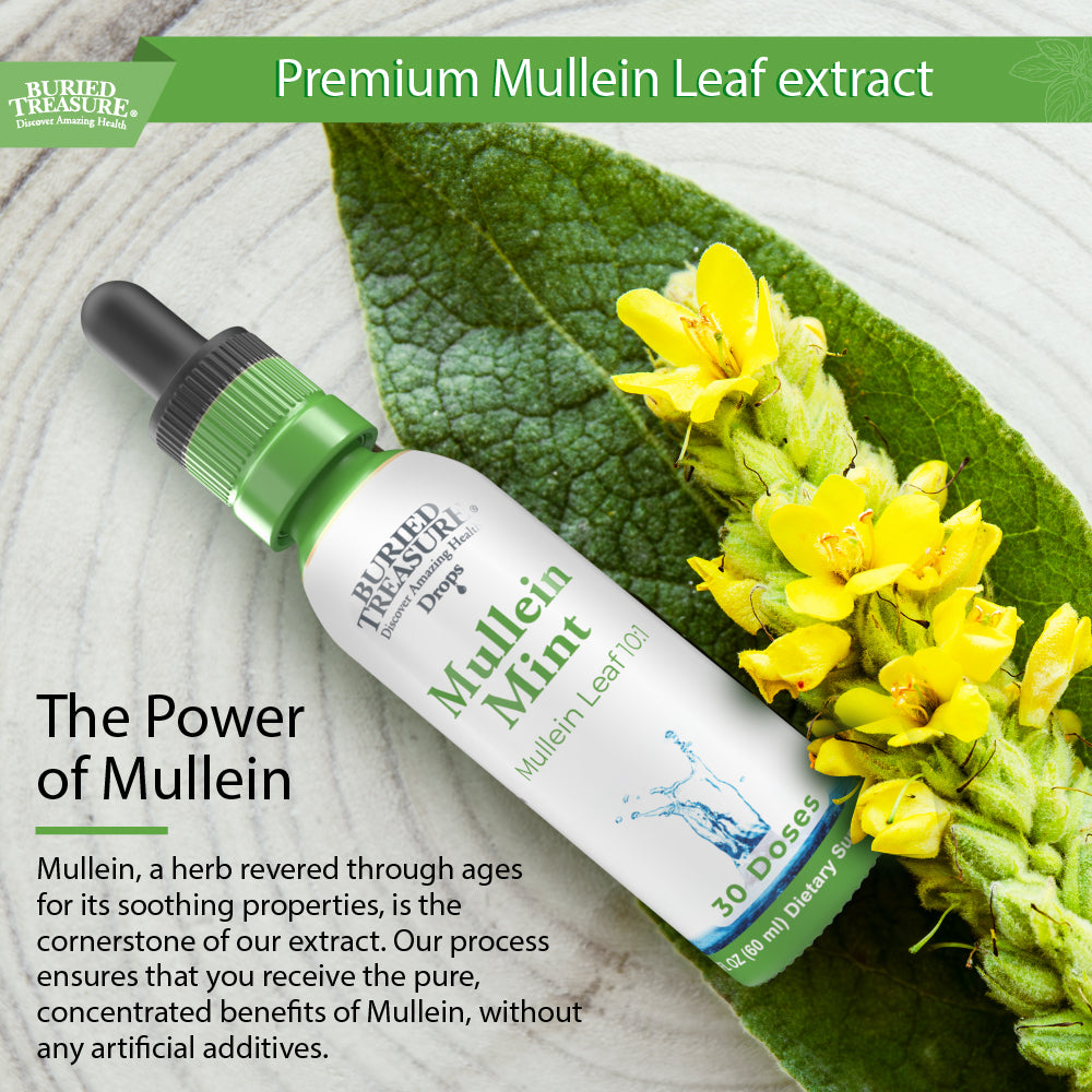 2oz Mullein Mint Drops – Mint-Flavored Herbal Blend with 200mg 10:1 Extract, Alcohol-Free