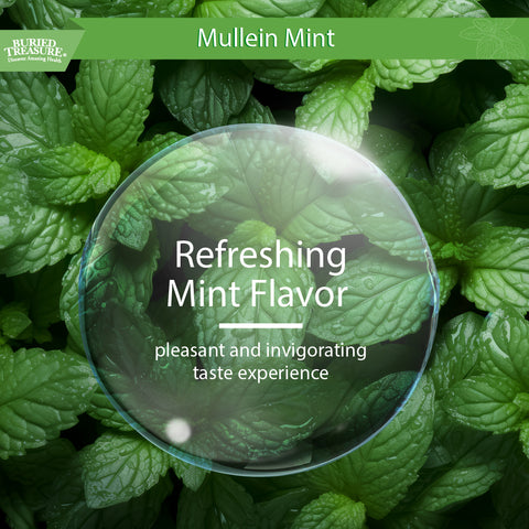 2oz Mullein Mint Drops | Mint-Flavored Herbal Respiratory Support | 200mg 10:1 Extract | Alcohol-Free