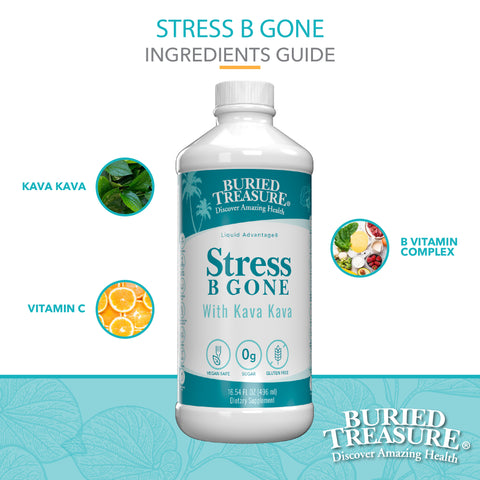 Stress B Gone Liquid Supplement, with B-Complex Vitamins & Herbal Blend, 16 servings
