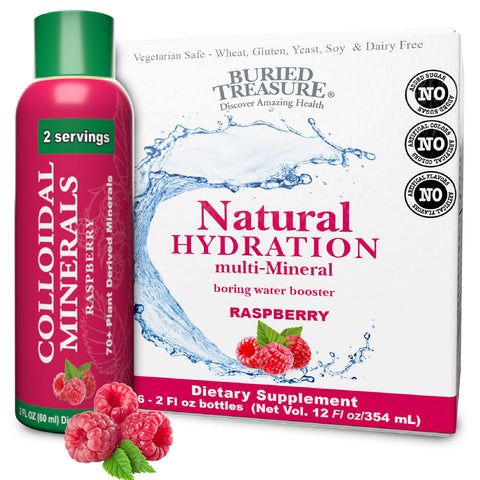 Buried Treasure Natural Hydration Shots - Raspberry 